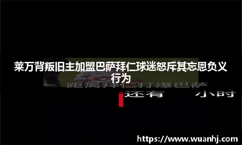 芒果体育app官网入口